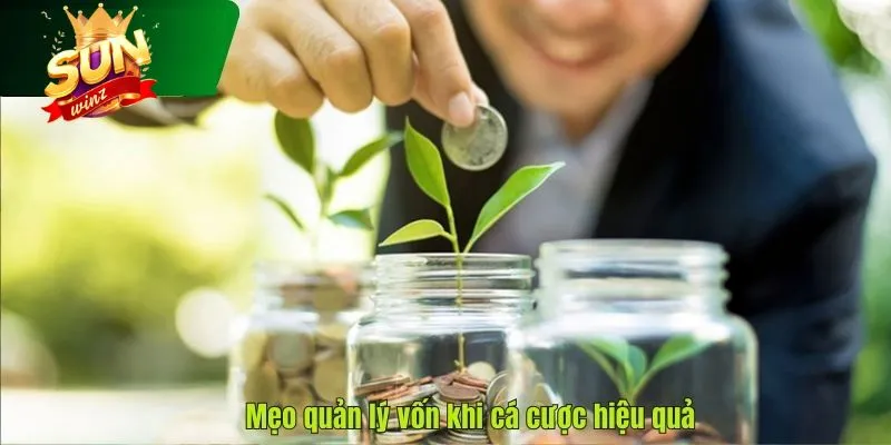 Quản lý vốn cược bằng cách giới hạn tiền cược